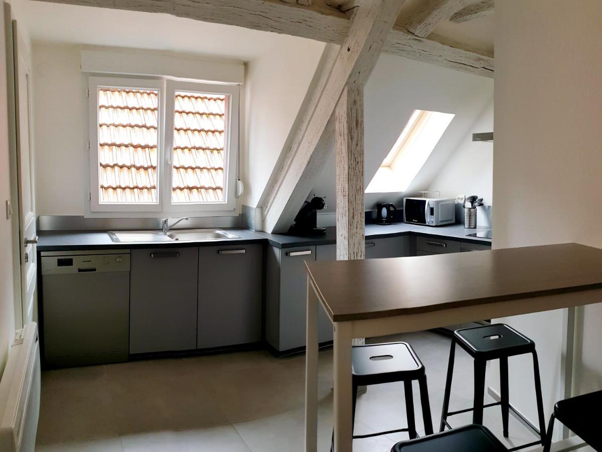 Duplex Au Centre Avec Parking - L'Etoile Apartment Obernai Luaran gambar